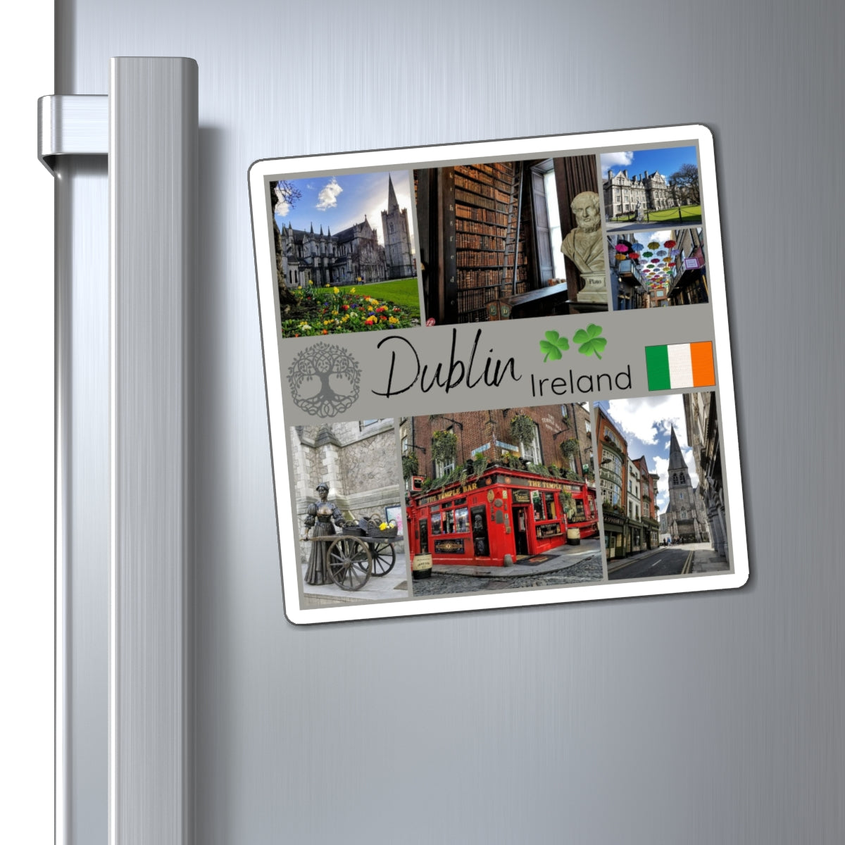 Dublin Ireland Fridge Magnet, Emerald Isle Souvenir