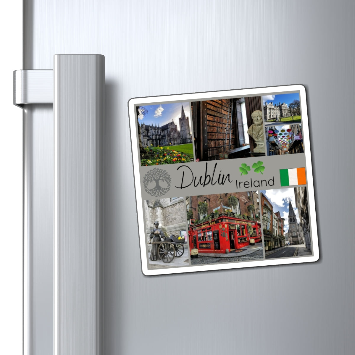 Dublin Ireland Fridge Magnet, Emerald Isle Souvenir