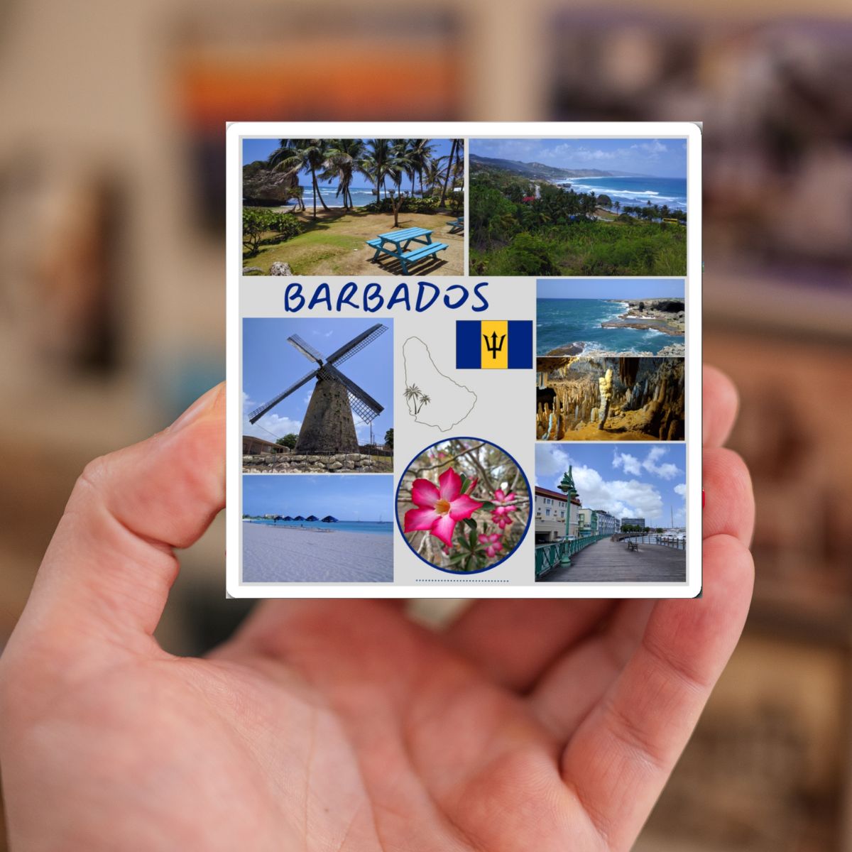 Hand holding a postcard with Barbados scenic collage